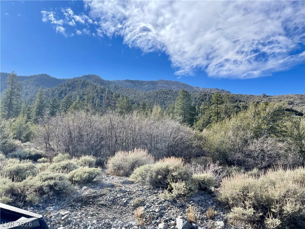 4 Camp Bonanza, Cold Creek, NV 89124