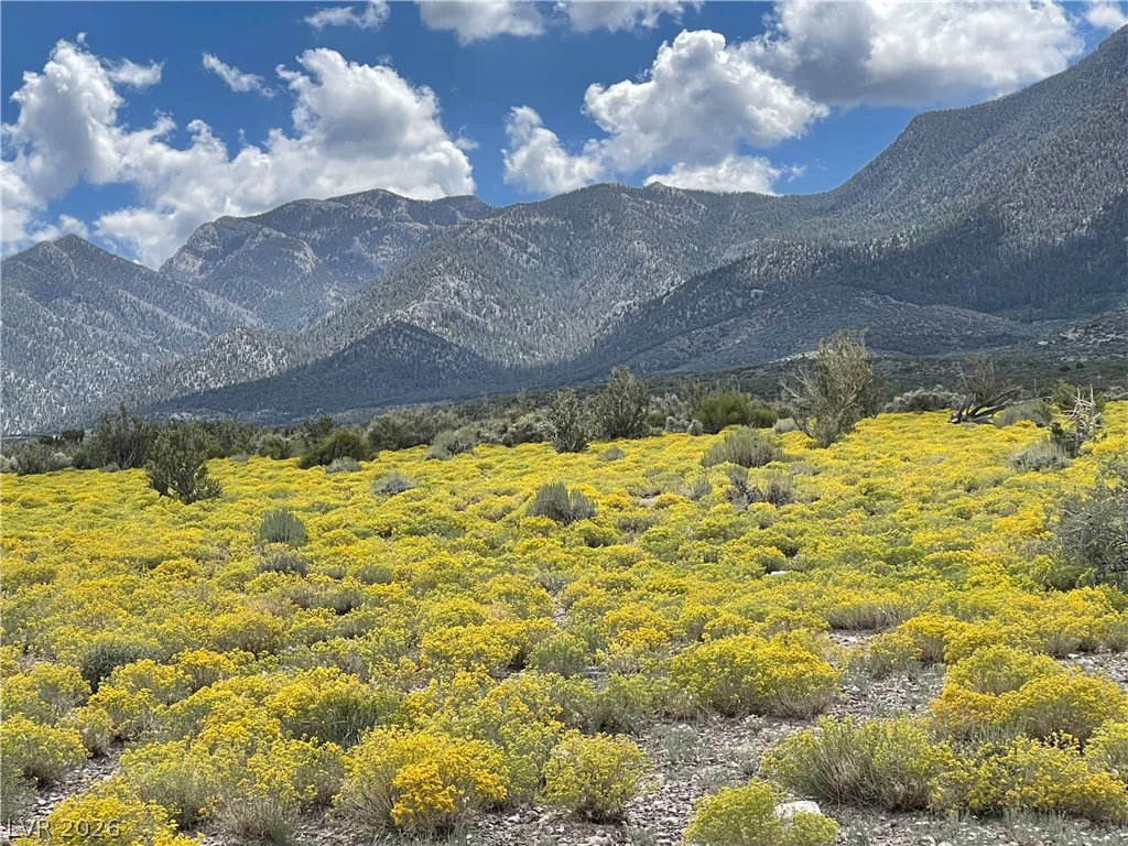 4 Camp Bonanza, Cold Creek, NV 89124