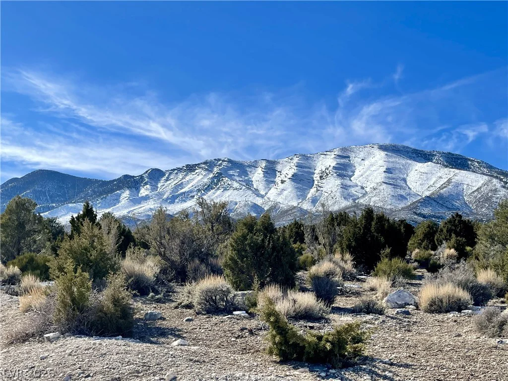4 Camp Bonanza, Cold Creek, NV 89124