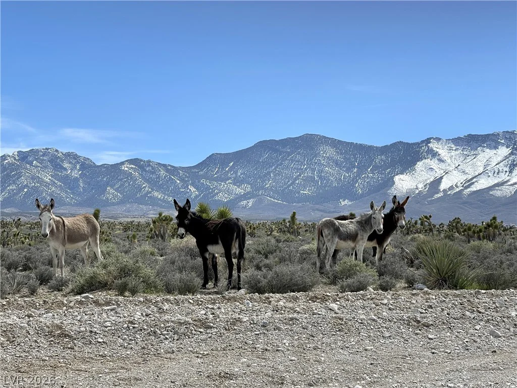 4 Camp Bonanza, Cold Creek, NV 89124