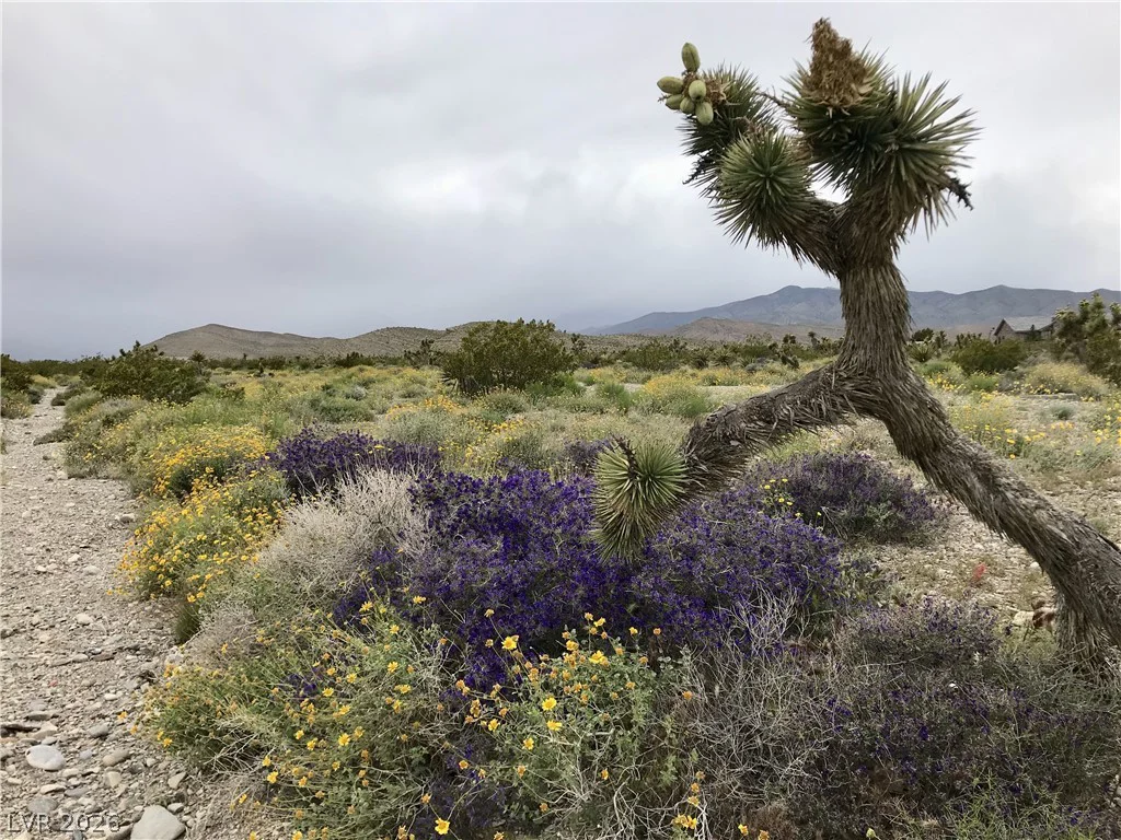 4 Camp Bonanza, Cold Creek, NV 89124