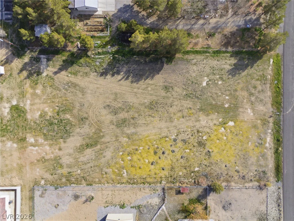 1461 Silver Peak, Pahrump, NV 89048