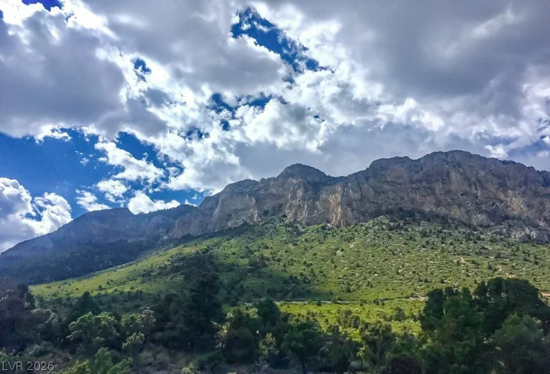 2640 Daines, Mount Charleston, NV 89124