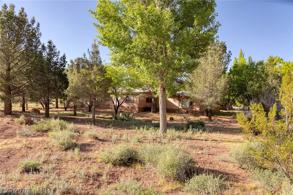 14525 Heyer, Las Vegas, NV 89161