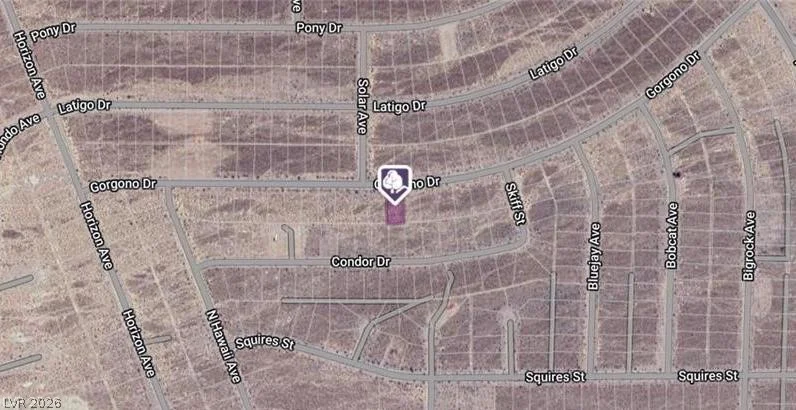 1481 Gorgono, Pahrump, NV 89060