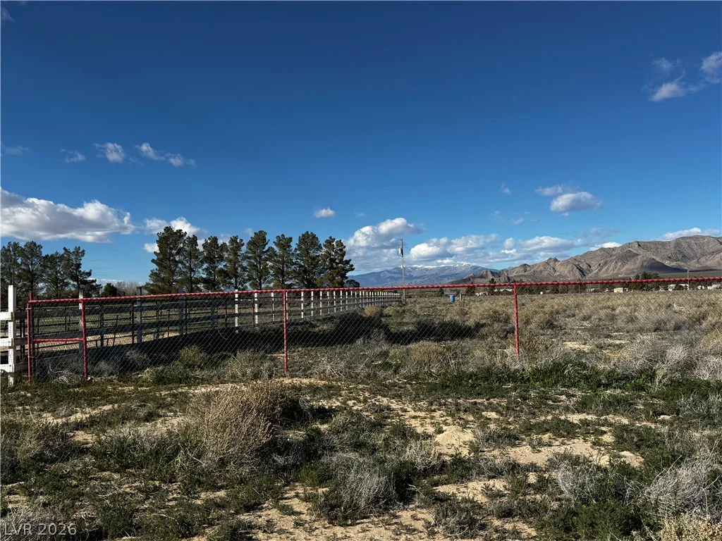 Moonstone Ave & Paquot St, Sandy Valley, NV 89019