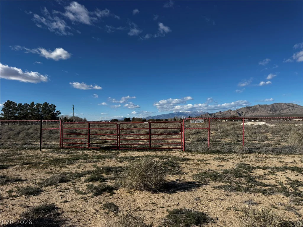 Moonstone Ave & Paquot St, Sandy Valley, NV 89019