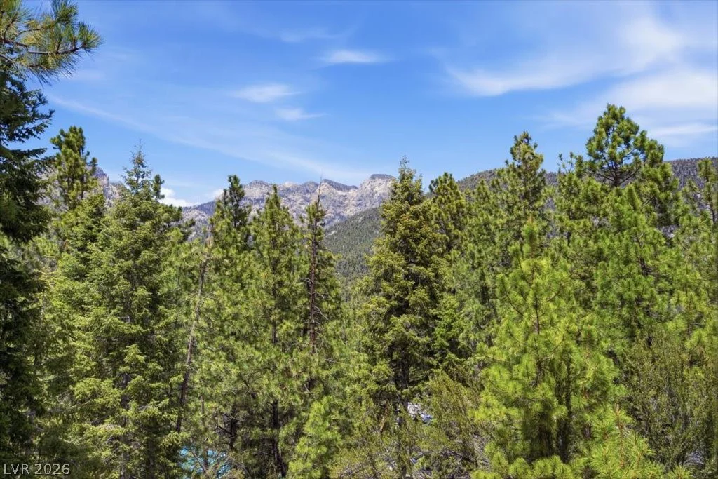 3953 Ski Trail, Mount Charleston, NV 89124