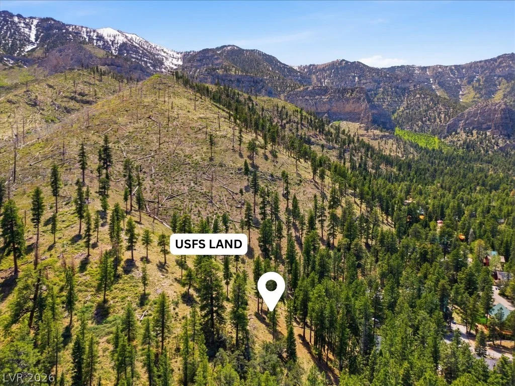 3953 Ski Trail, Mount Charleston, NV 89124
