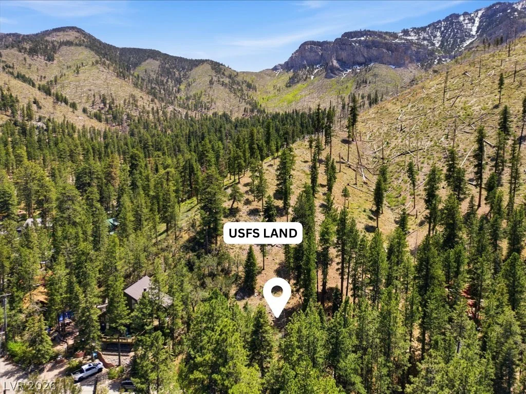 3953 Ski Trail, Mount Charleston, NV 89124