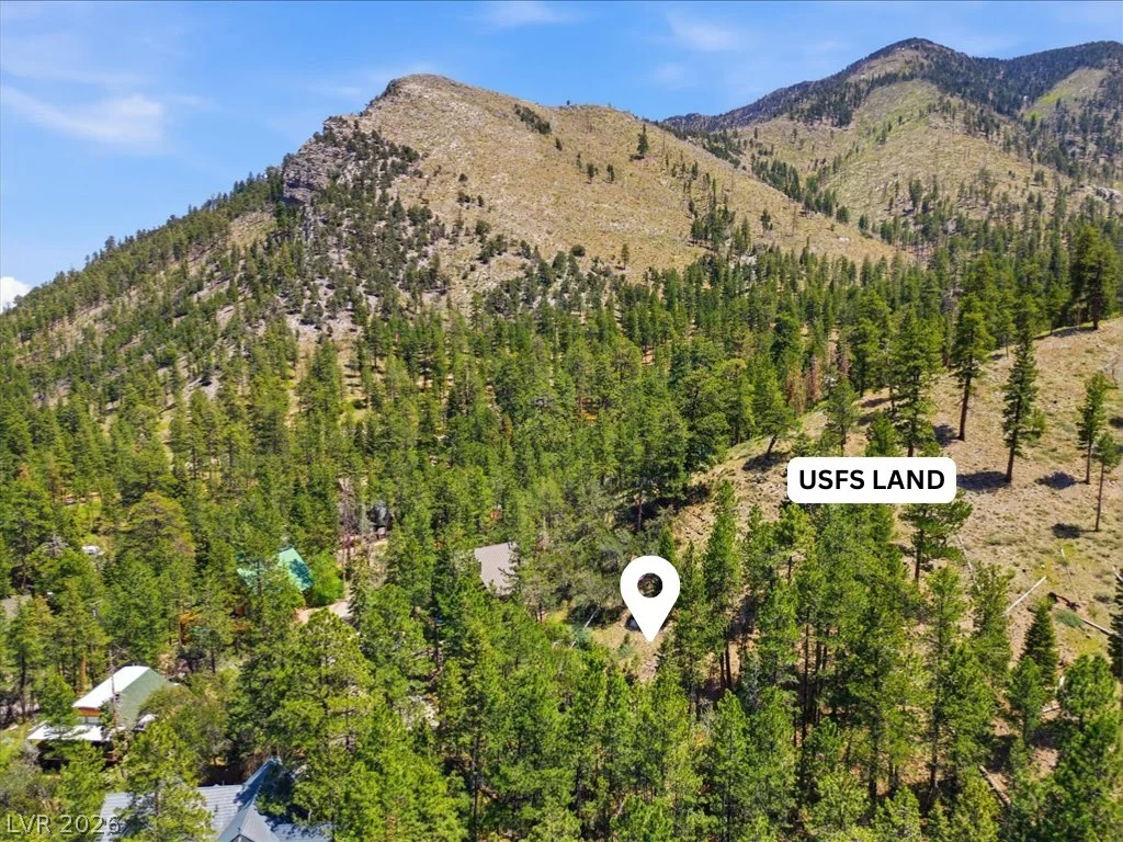 3953 Ski Trail, Mount Charleston, NV 89124