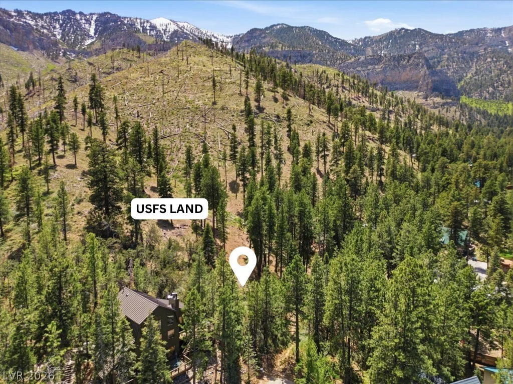 3953 Ski Trail, Mount Charleston, NV 89124