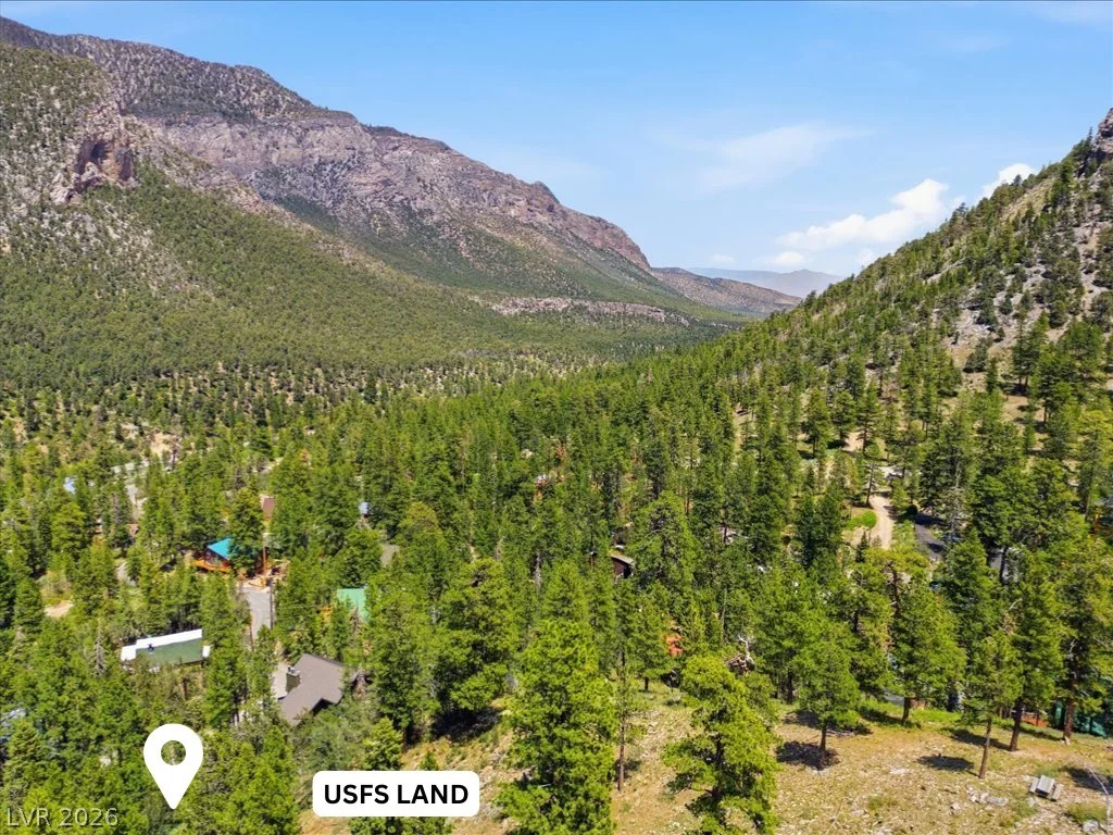 3953 Ski Trail, Mount Charleston, NV 89124