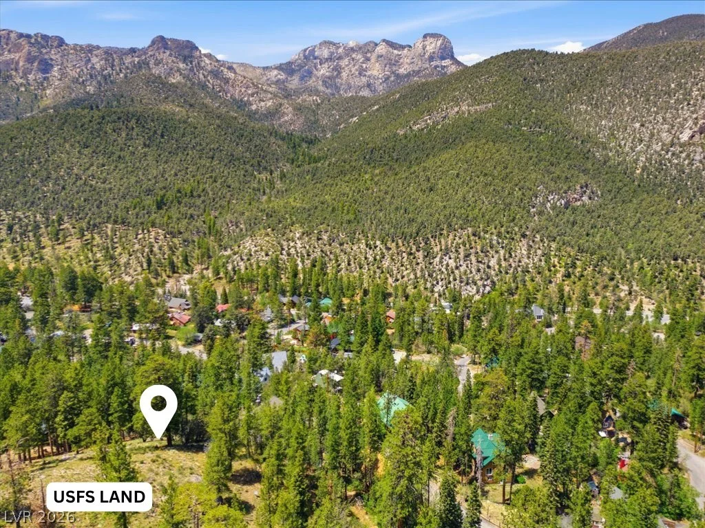 3953 Ski Trail, Mount Charleston, NV 89124