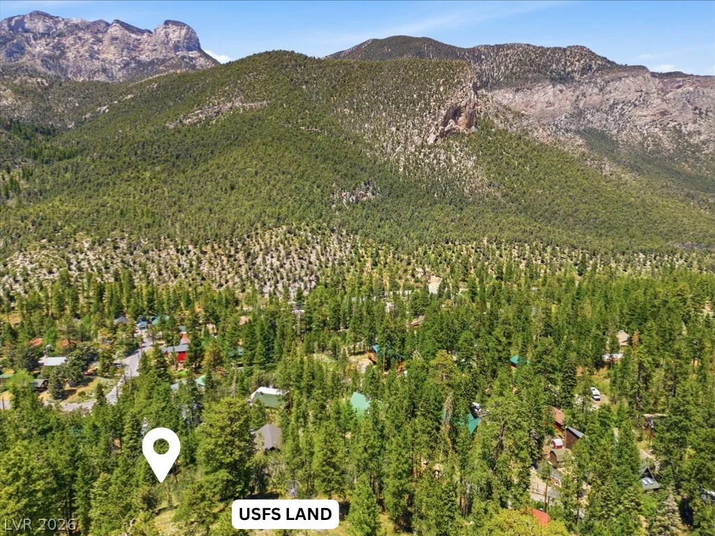 3953 Ski Trail, Mount Charleston, NV 89124
