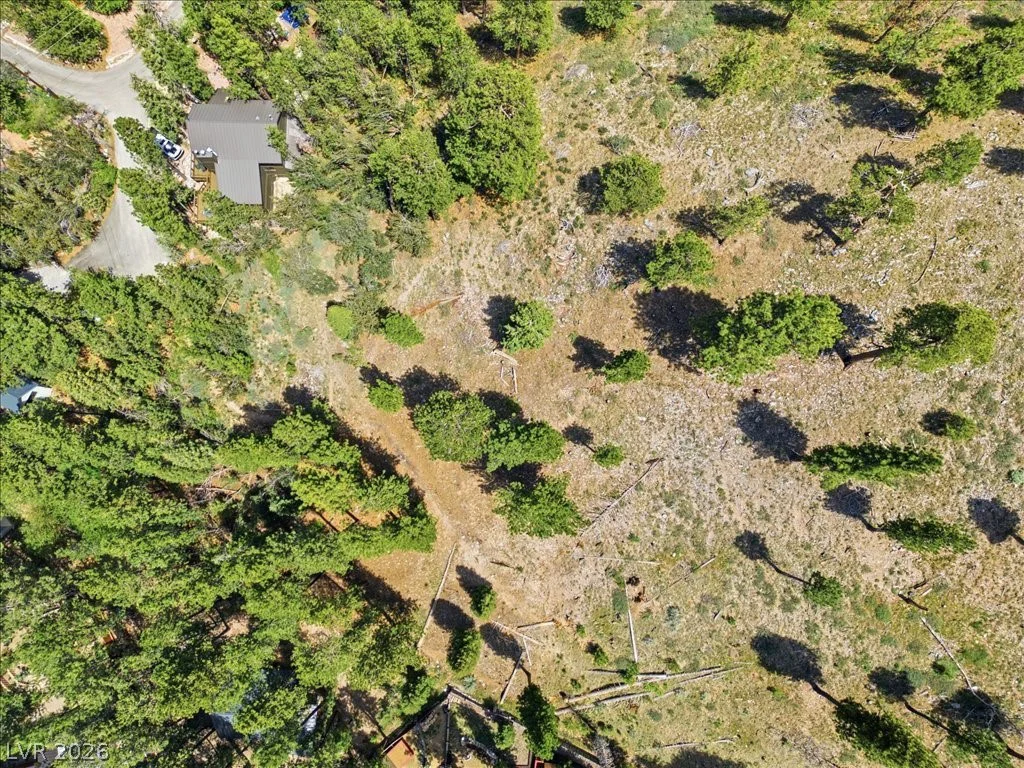 3953 Ski Trail, Mount Charleston, NV 89124