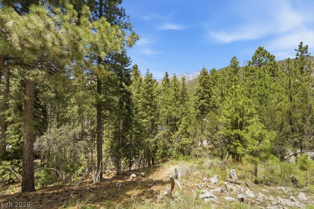 3953 Ski Trail, Mount Charleston, NV 89124