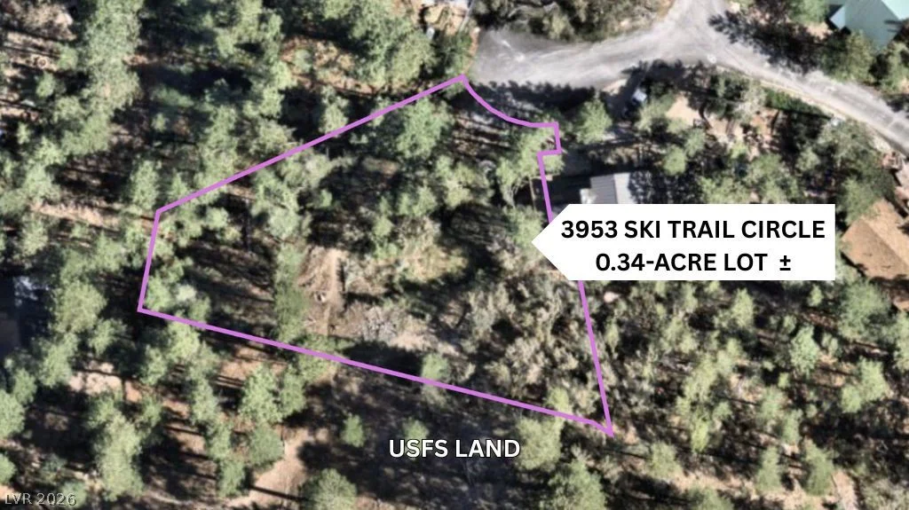 3953 Ski Trail, Mount Charleston, NV 89124