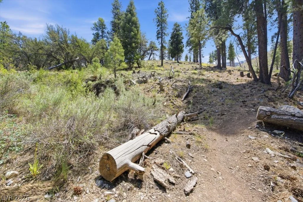 3953 Ski Trail, Mount Charleston, NV 89124