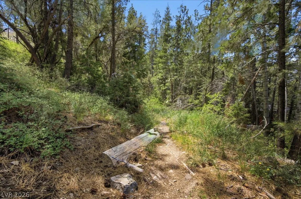 3953 Ski Trail, Mount Charleston, NV 89124