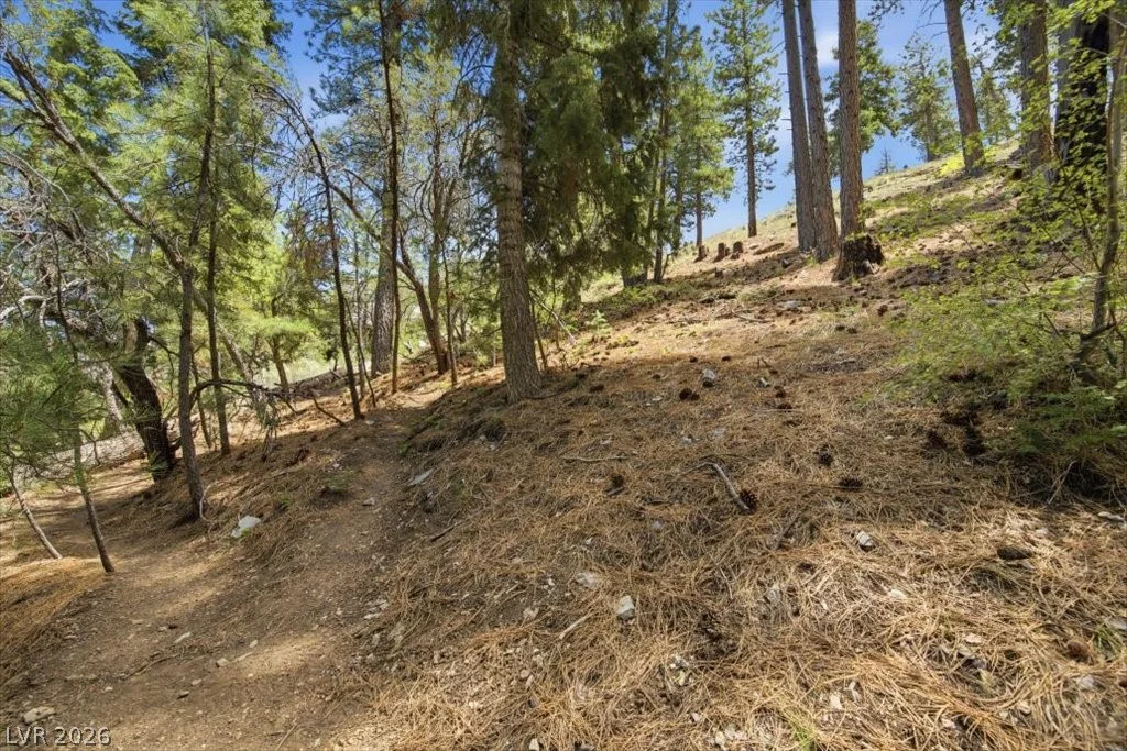 3953 Ski Trail, Mount Charleston, NV 89124