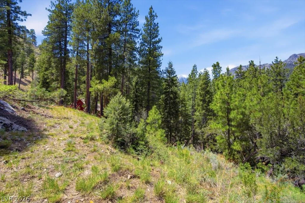 3953 Ski Trail, Mount Charleston, NV 89124