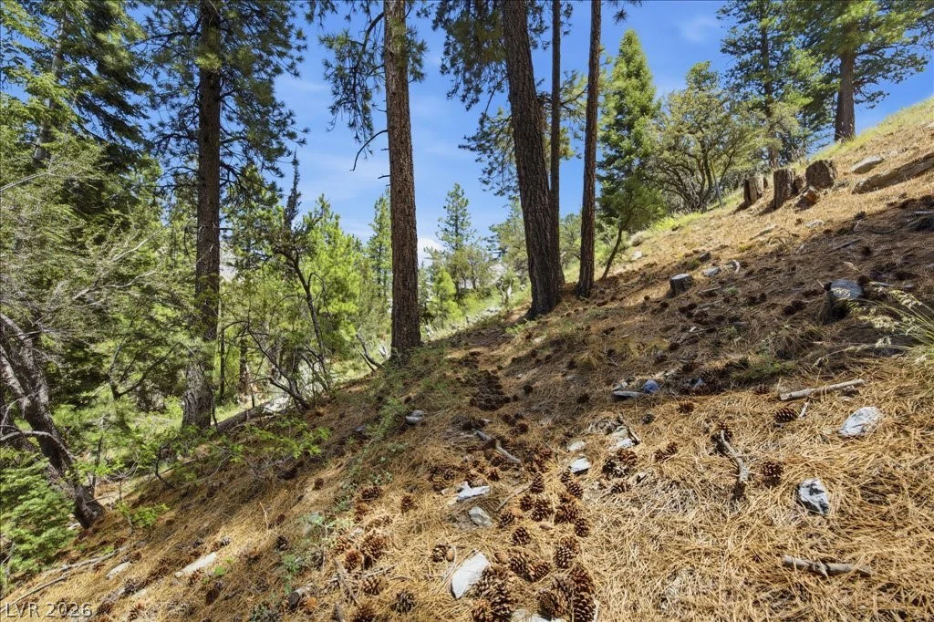 3953 Ski Trail, Mount Charleston, NV 89124