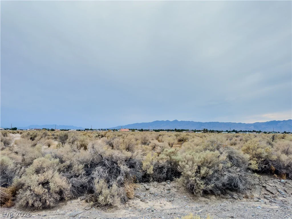 1971 Deputy, Pahrump, NV 89048