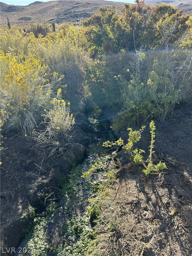 0 SAND SPRINGS, Dyer, NV 89010
