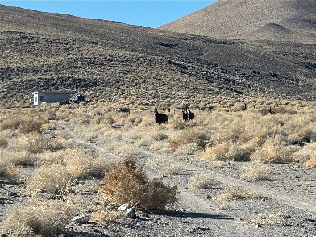 0 SAND SPRINGS, Dyer, NV 89010