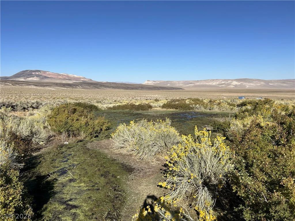 0 SAND SPRINGS, Dyer, NV 89010