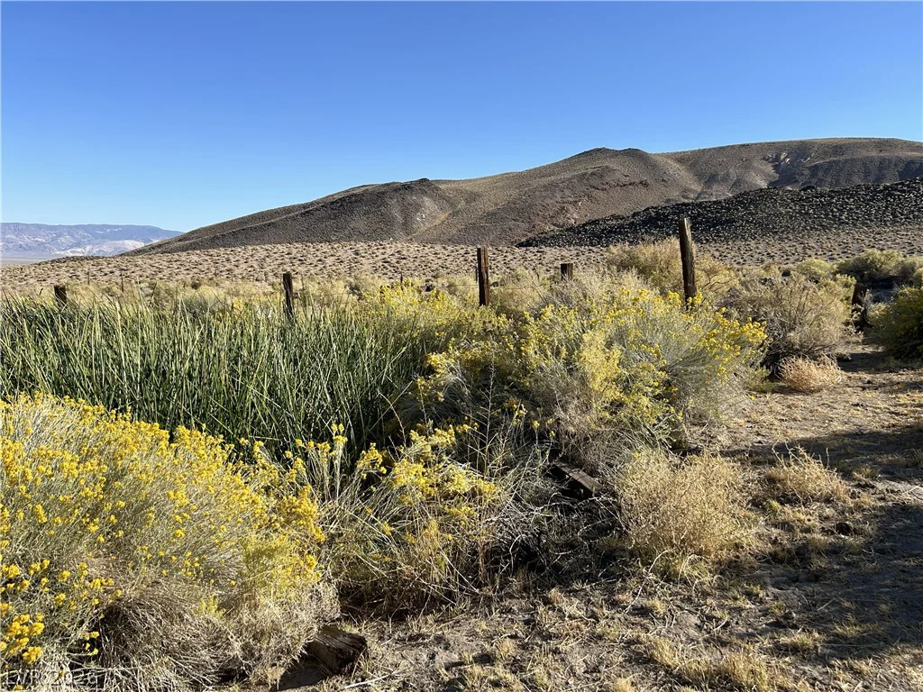 0 SAND SPRINGS, Dyer, NV 89010