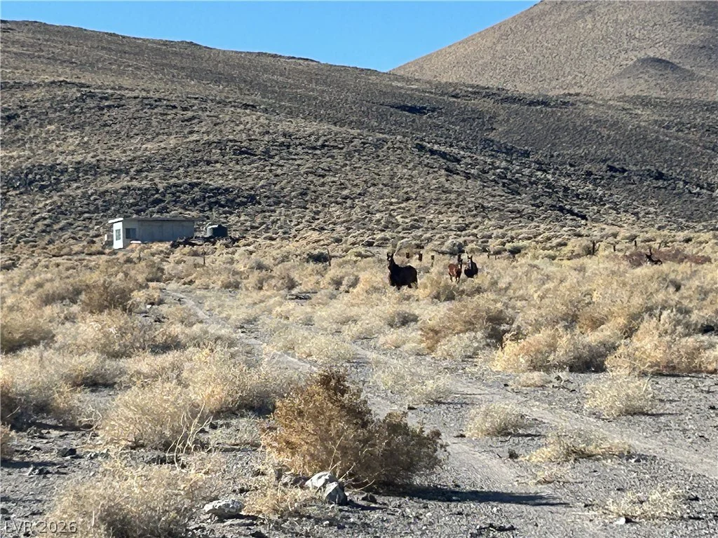 0 SAND SPRINGS, Dyer, NV 89010