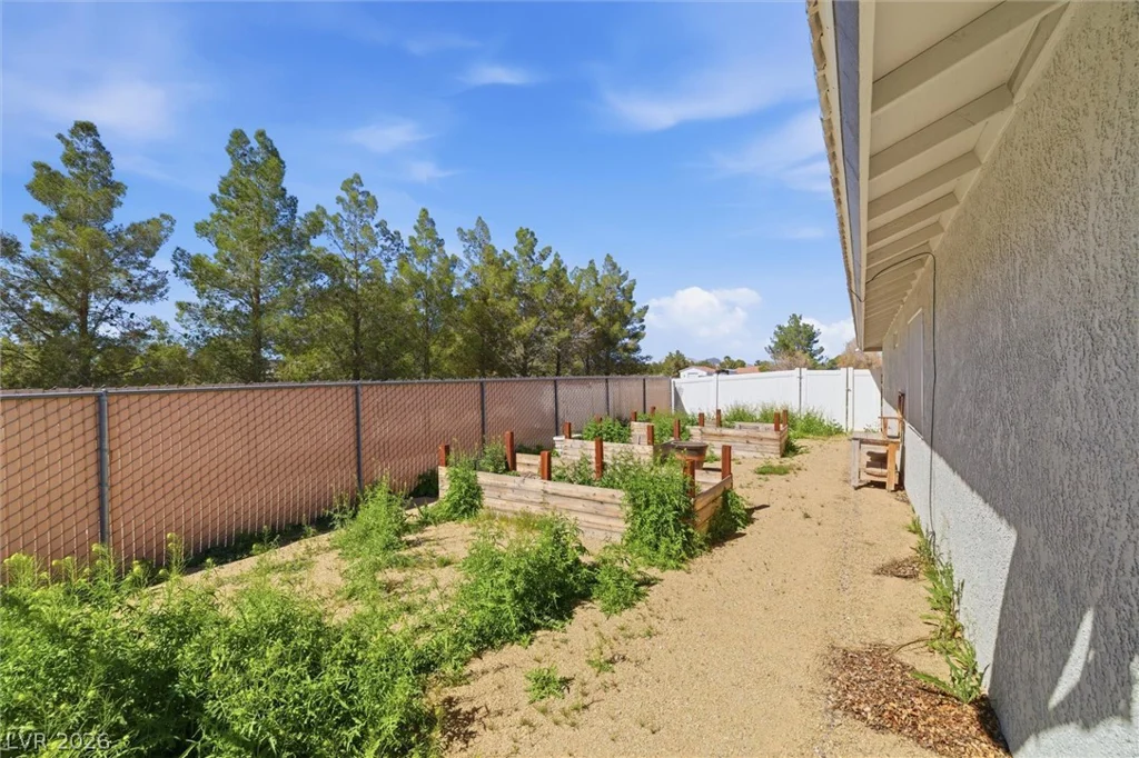 1131 China, Pahrump, NV 89048