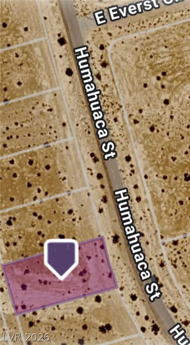 460 Humahuaca, Pahrump, NV 89060