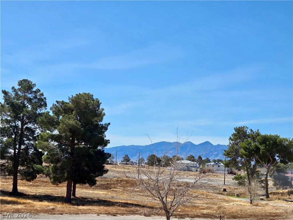 741 Bourbon, Pahrump, NV 89048