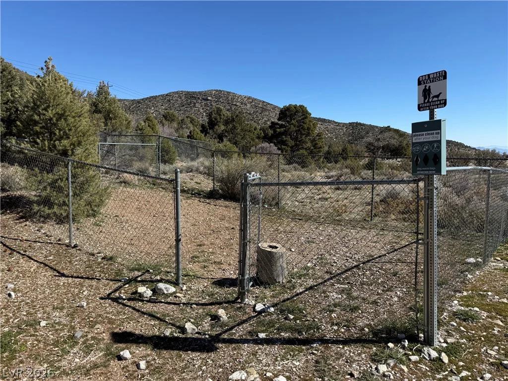 2650 Daines, Mount Charleston, NV 89124