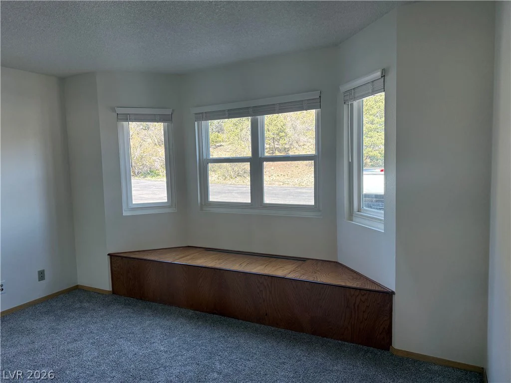 2650 Daines, Mount Charleston, NV 89124