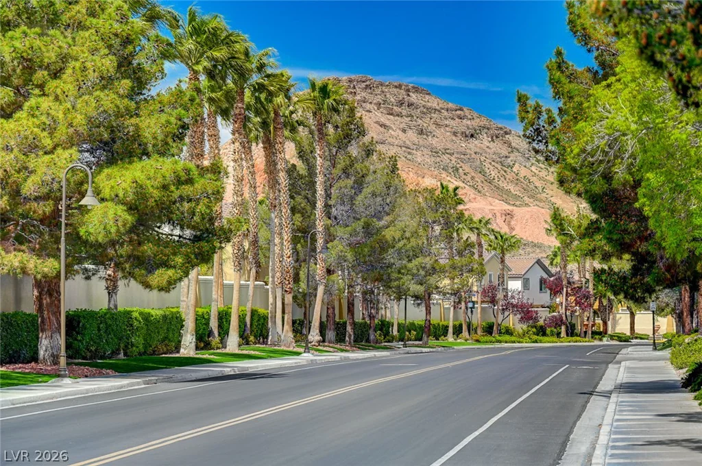 217 Wicked Wedge, Las Vegas, NV 89148
