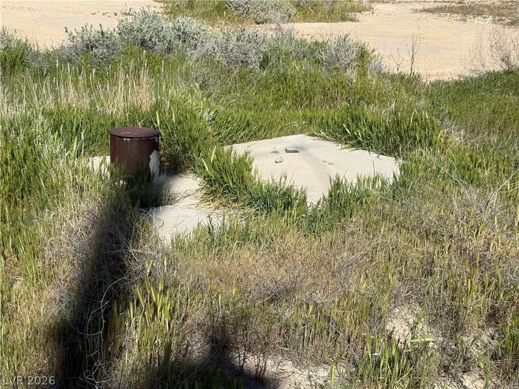2731 Tough Girl, Pahrump, NV 89060