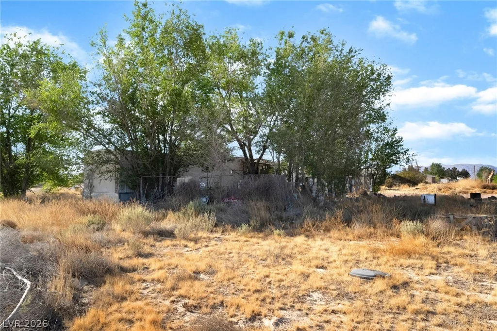 2350 Shawnee, Sandy Valley, NV 89019