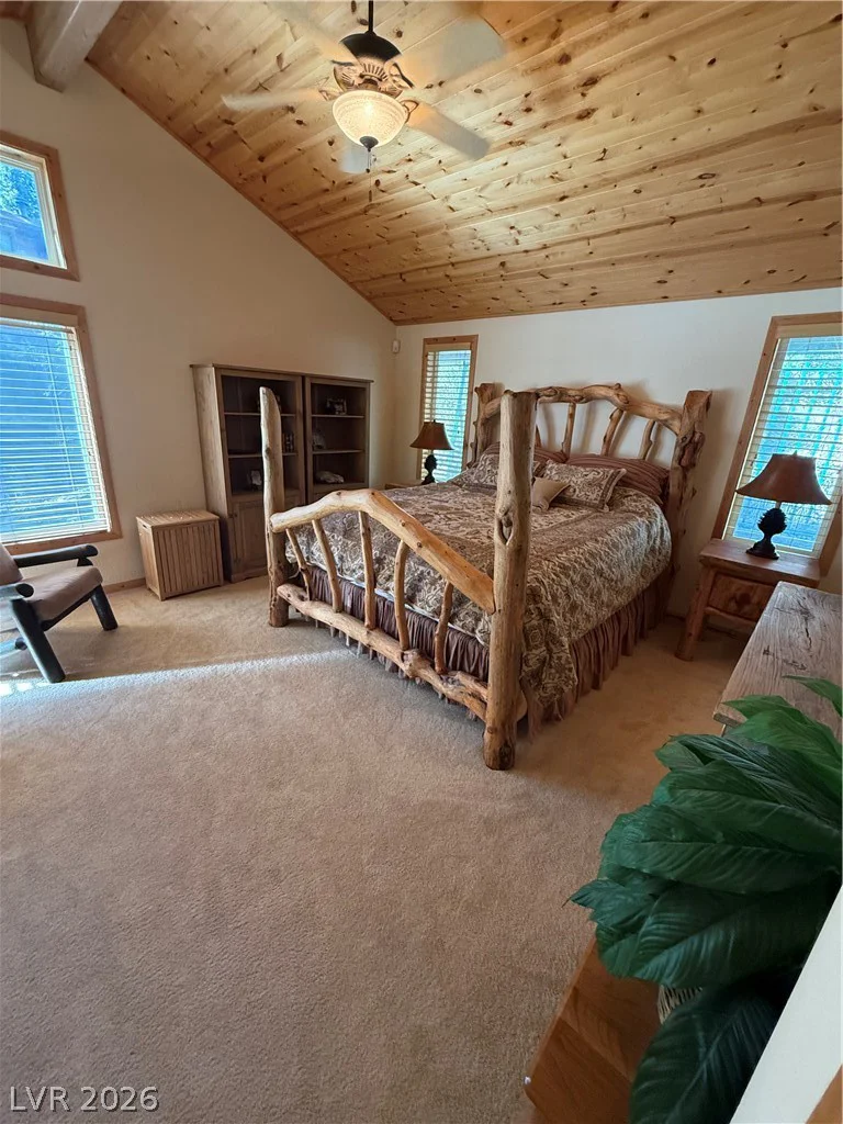 310 Echo, Mount Charleston, NV 89124