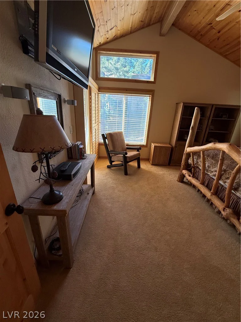 310 Echo, Mount Charleston, NV 89124