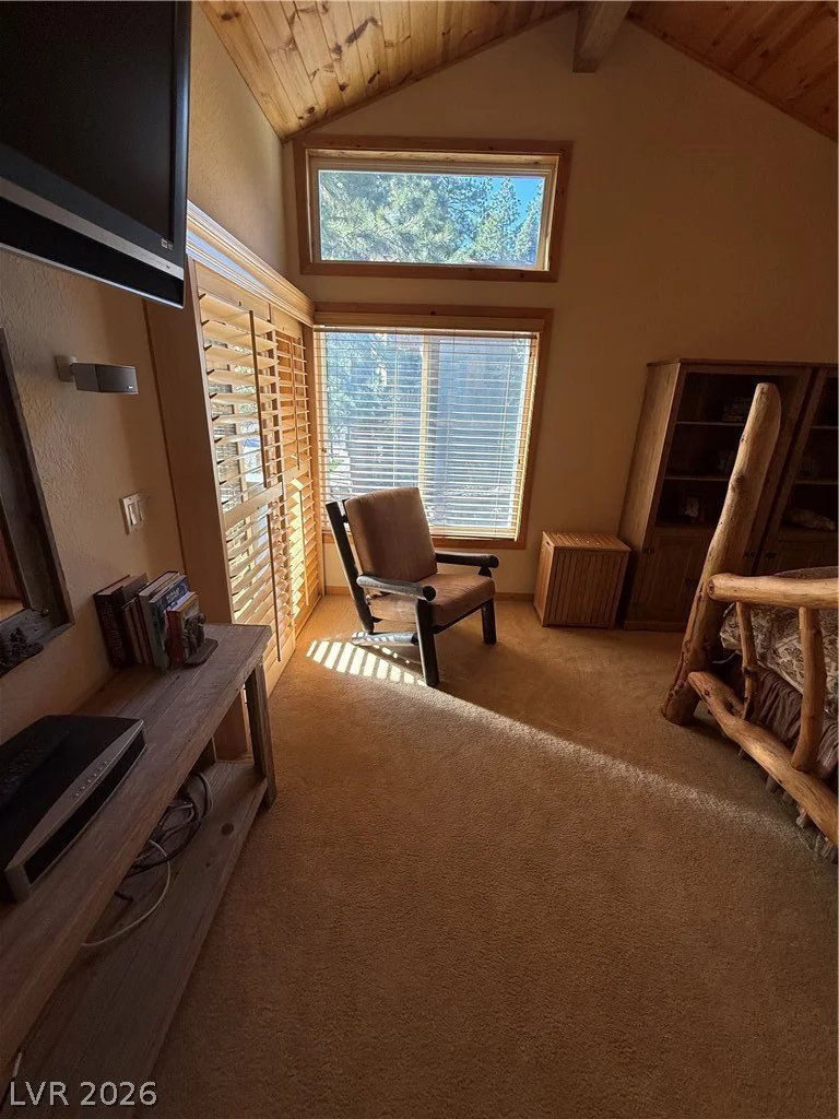 310 Echo, Mount Charleston, NV 89124