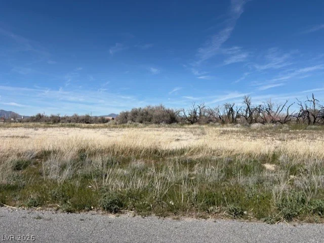 1780 Xenia, Pahrump, NV 89048