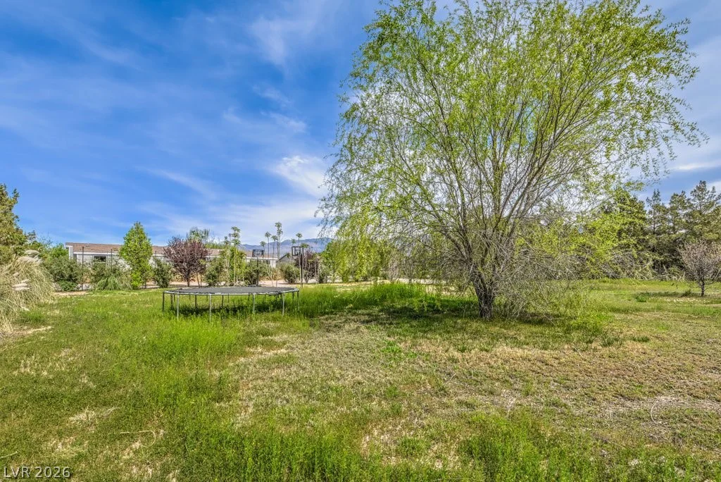 471 Megan, Pahrump, NV 89060