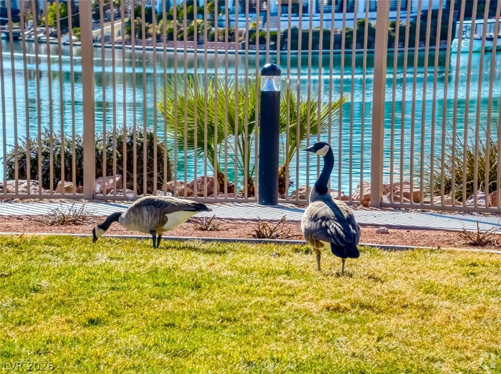3221 Grey Dolphin, Las Vegas, NV 89117