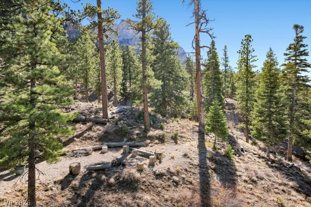 5265 Whispering Deer, Mount Charleston, NV 89124