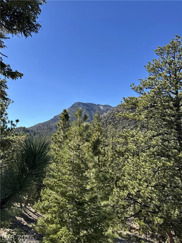 5265 Whispering Deer, Mount Charleston, NV 89124