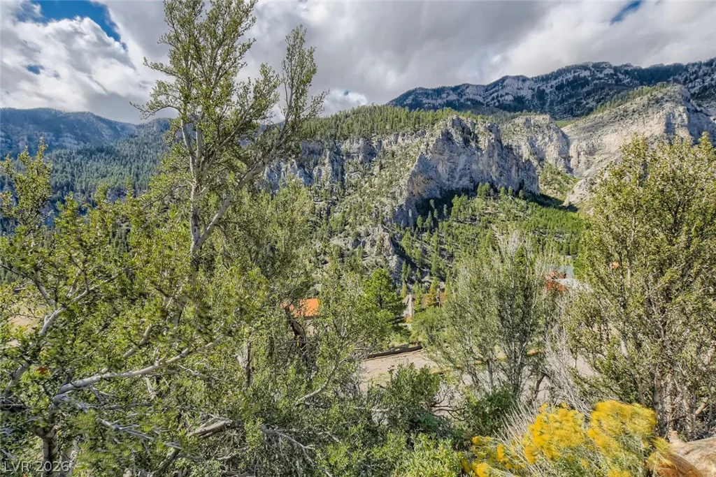 4947 Snow White, Mount Charleston, NV 89124